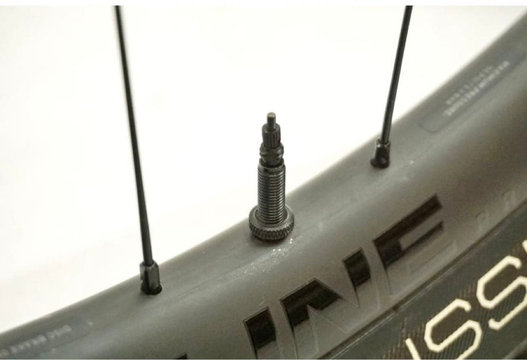 LINE PRO 30 カーボンホイール XTR Sram eagle 29er