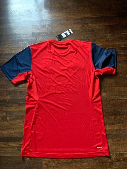 ブリティッシュアイリッシュライオンズＴシャツ