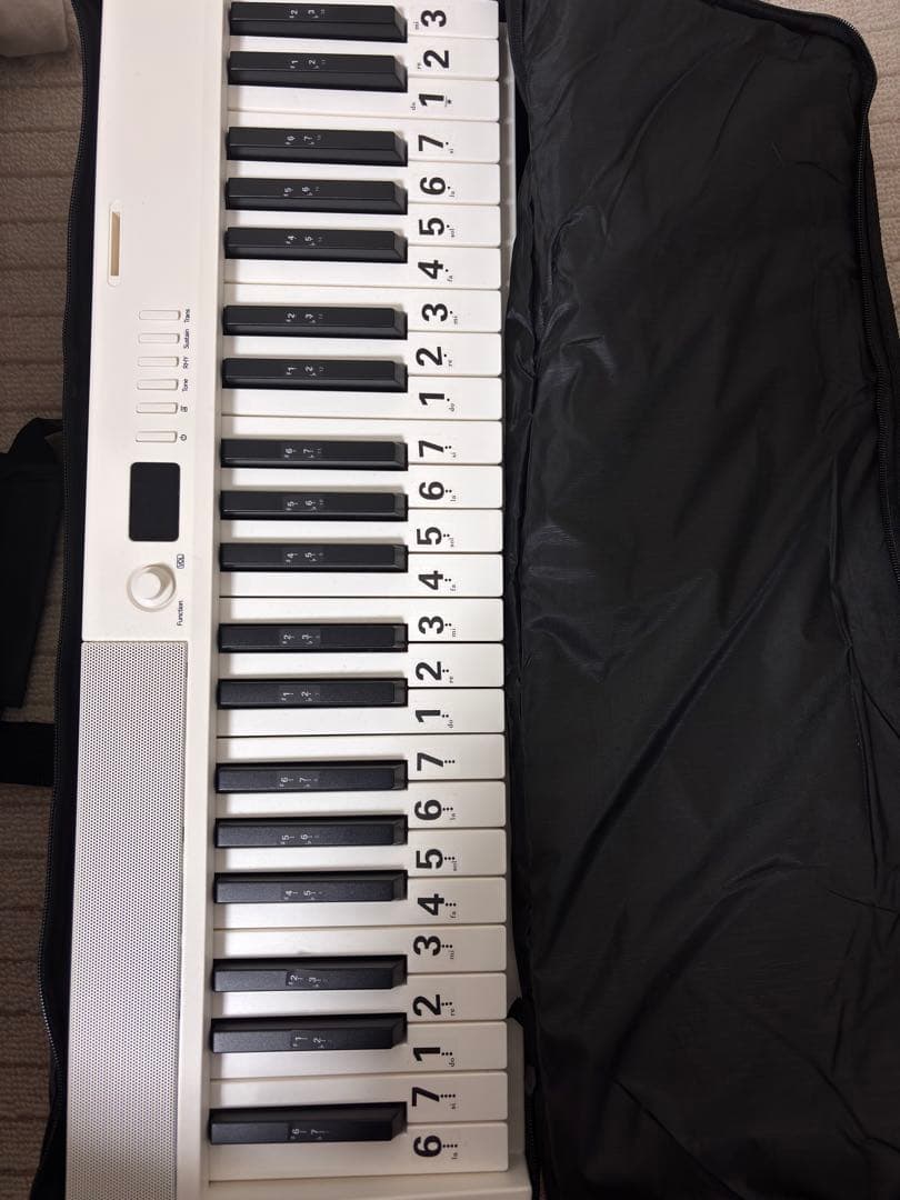 TERENCE 折りたたみ電子ピアノ 88鍵