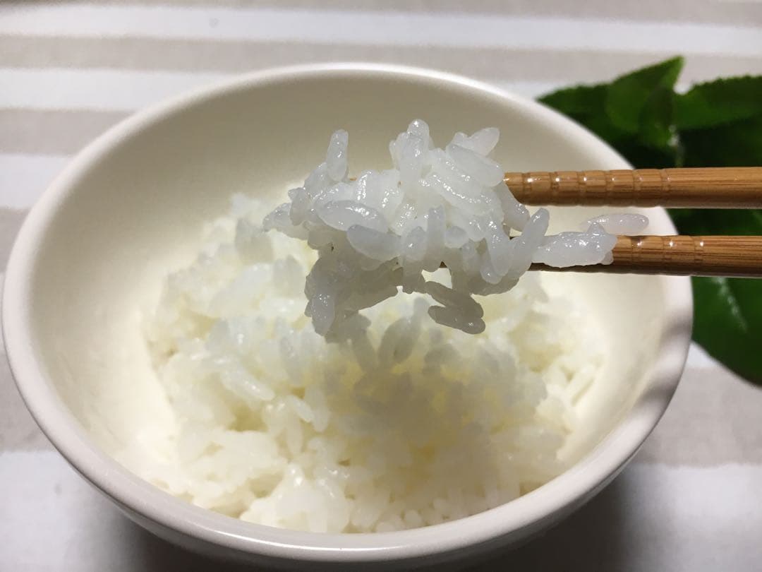 感動を呼ぶお米！新米 京都府産 にこまる 玄米 20キロ 令和7年産 農家直送