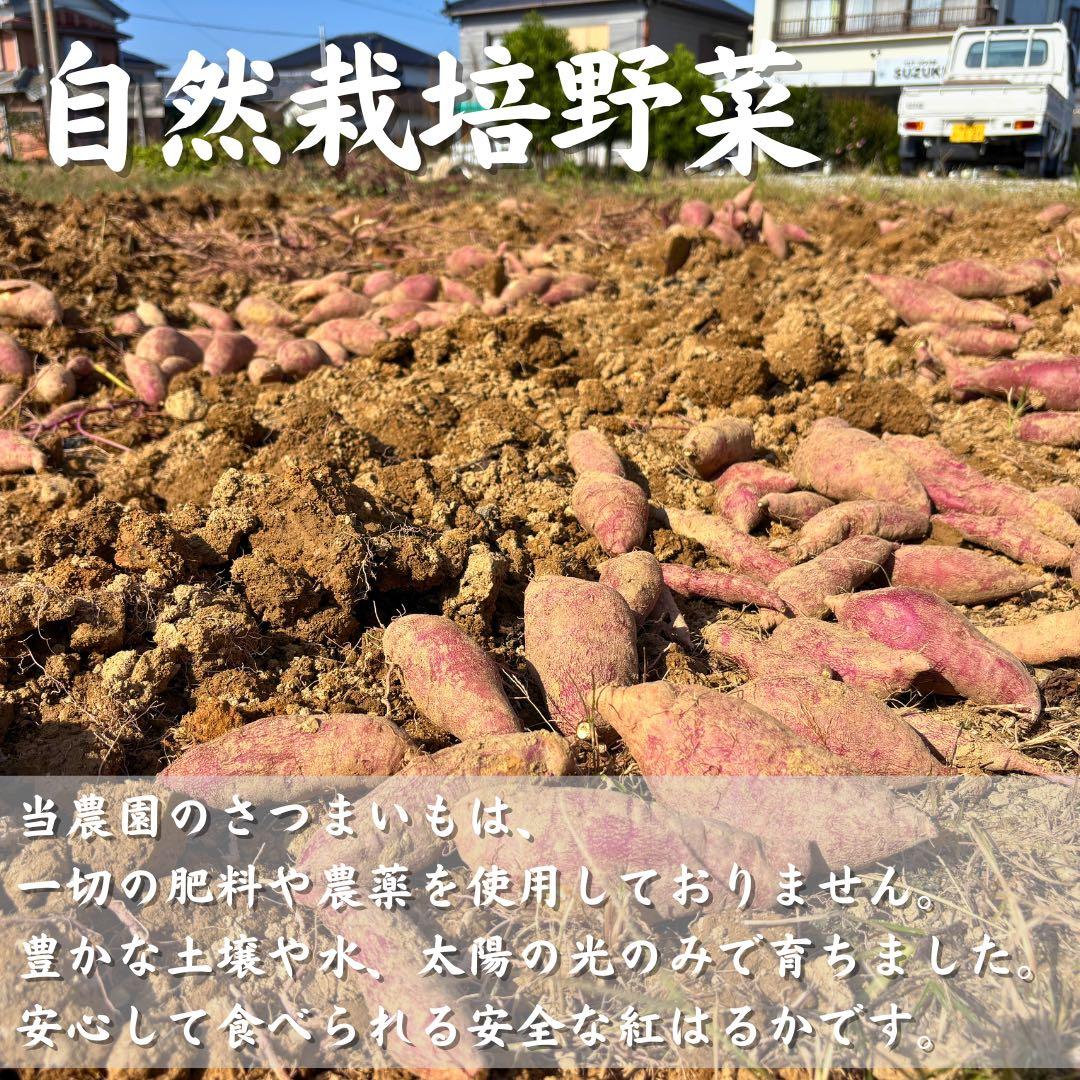 さつまいも『紅はるか』15kg ★無肥料・無農薬★