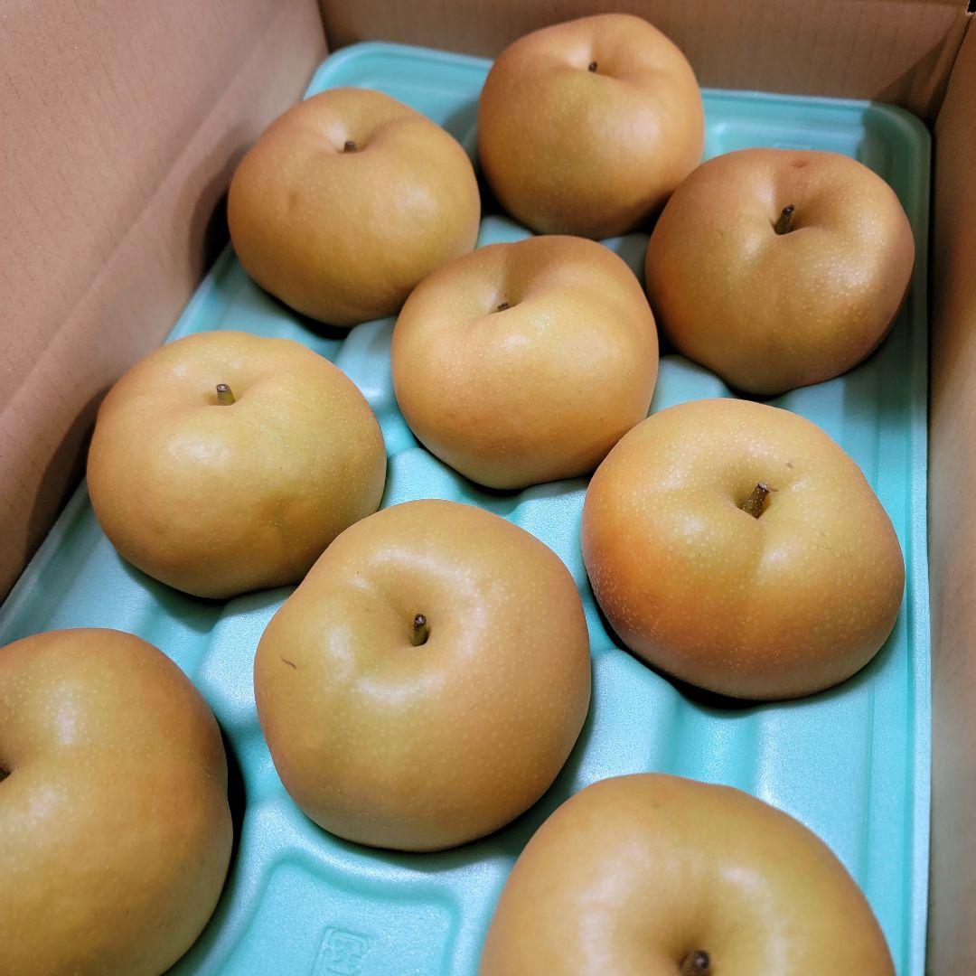 南水 ご家庭用特大 10キロ