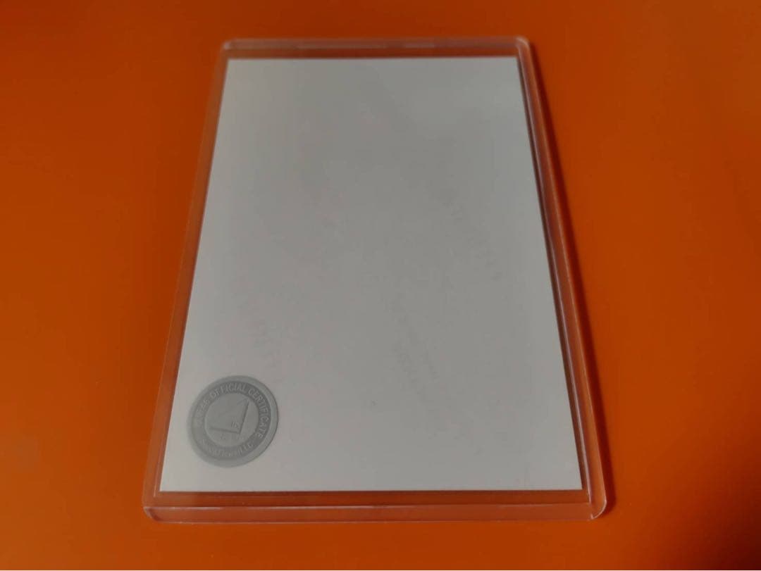 藤吉夏鈴　櫻坂46 2025年　サンタ　ランダム生写真　直筆　ヒキ