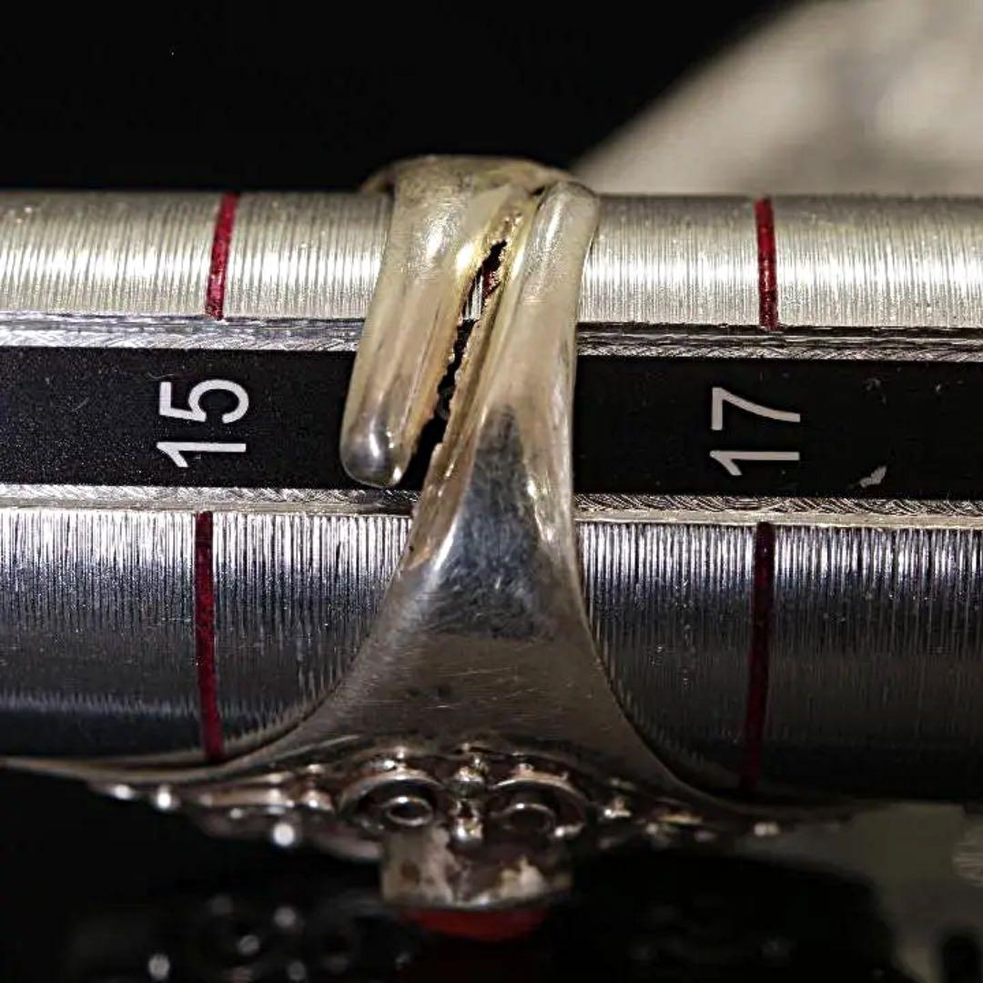 一眼天珠指輪　シルバー925/可動式最大26号まで