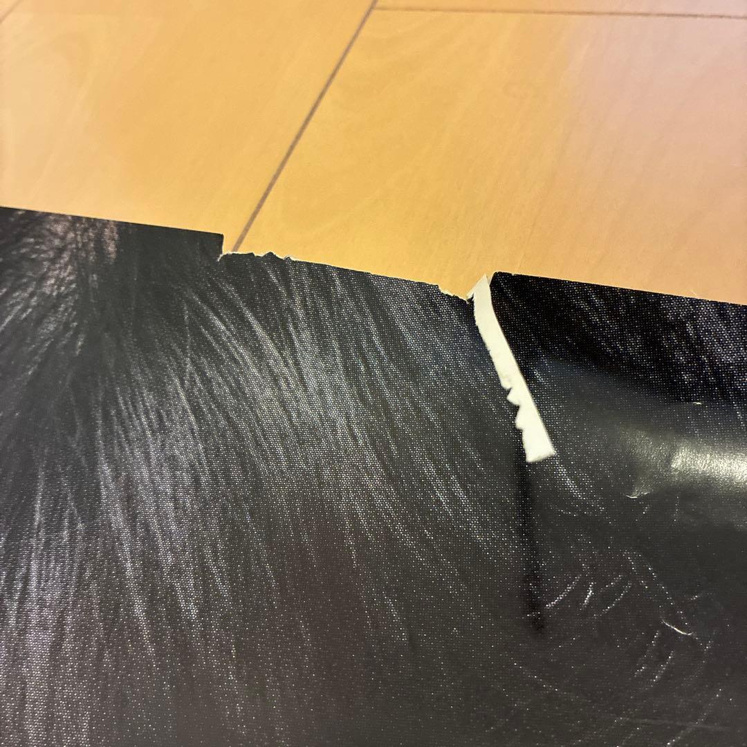 カネボウ　沢口靖子　昭和レトロ　ポスター