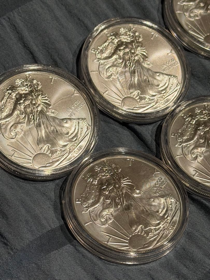 イーグル銀貨 純銀 1オンス クリアケース入り 10個セット 保証書付き