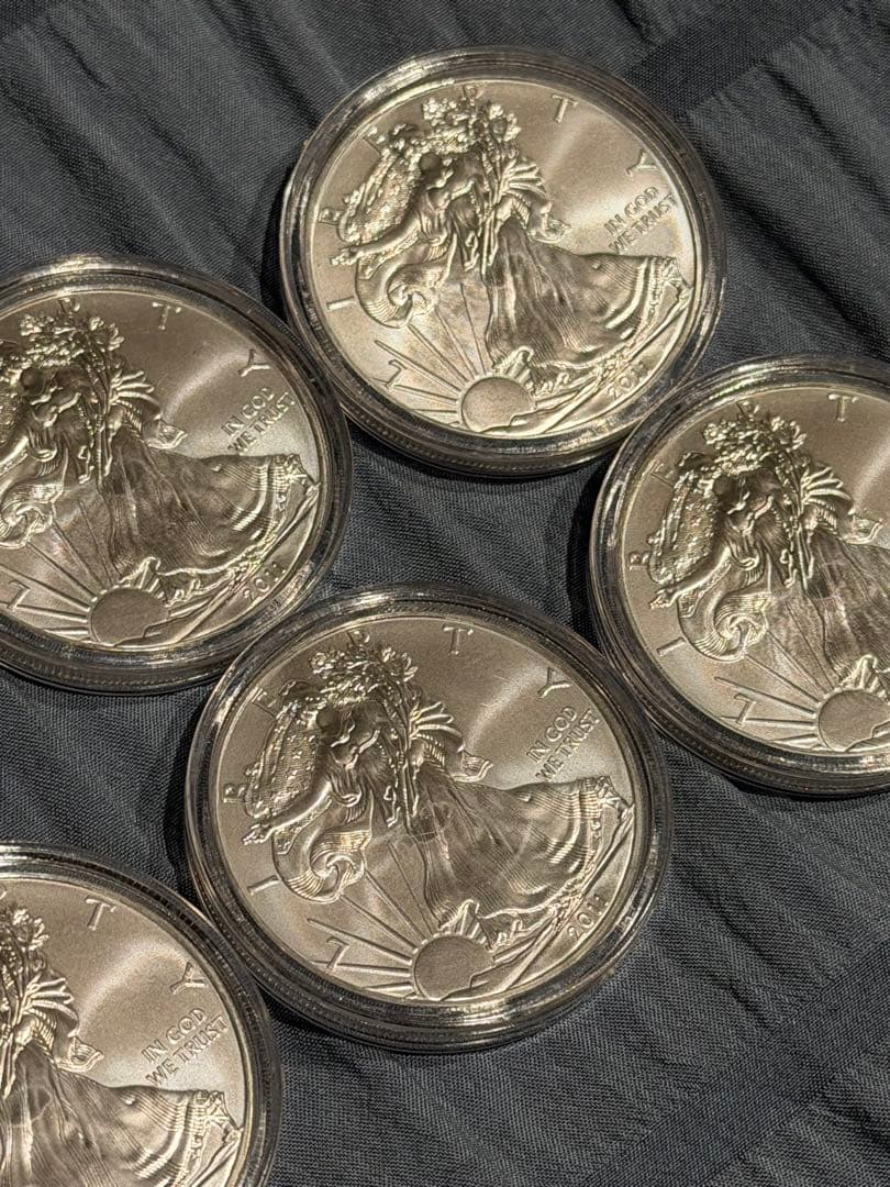 イーグル銀貨 純銀 1オンス クリアケース入り 10個セット 保証書付き