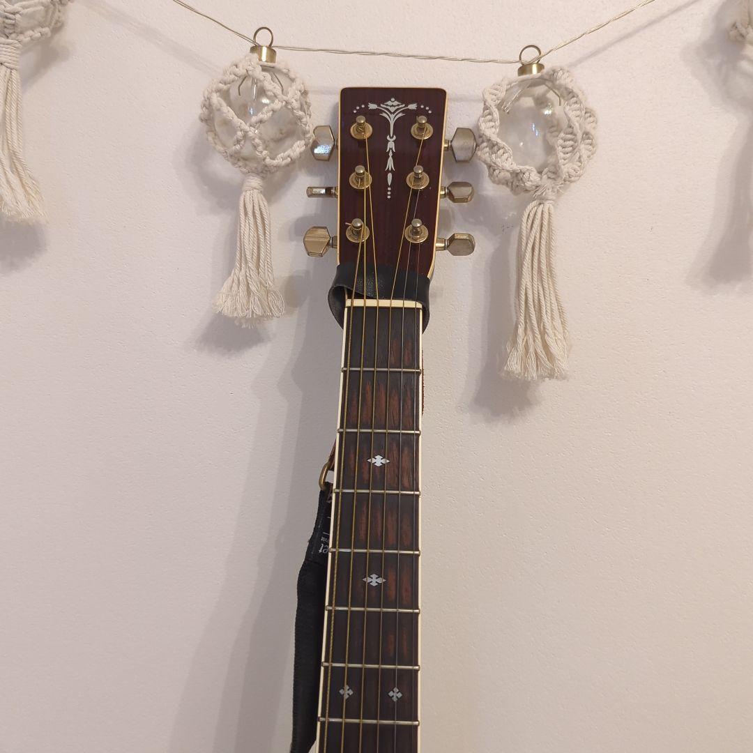 Gull's Eye 3 アコースティックギター