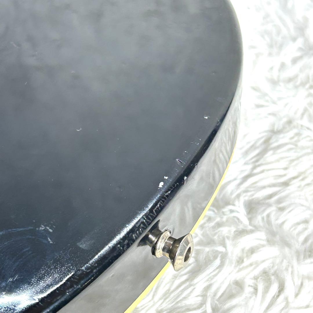 Grassroots by ESPレスポールタイプ 本格素材 マホガニー