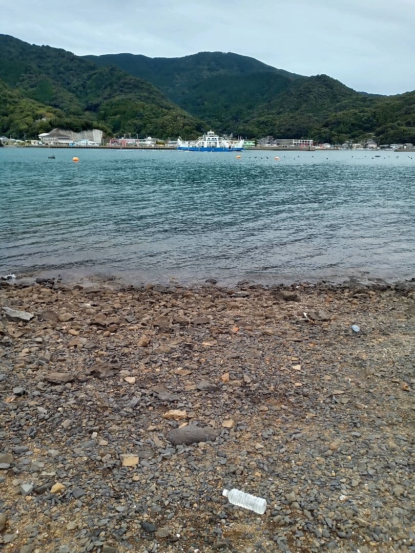 九州産　アンモナイト　プロテキサナイテス　超特大　希少　博物館展示級