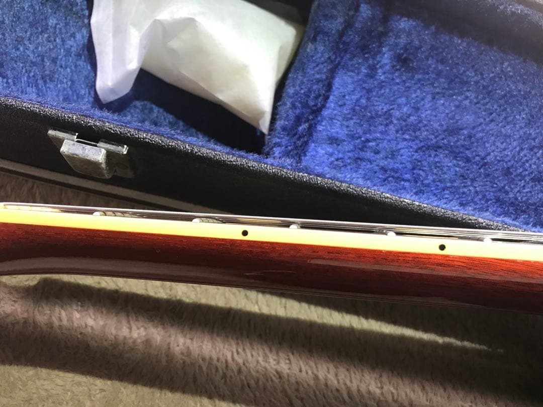 【説明必読】Bacchus BLS-120 Live Road レスポールタイプ