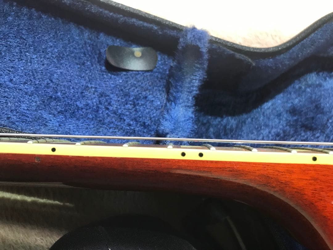 【説明必読】Bacchus BLS-120 Live Road レスポールタイプ