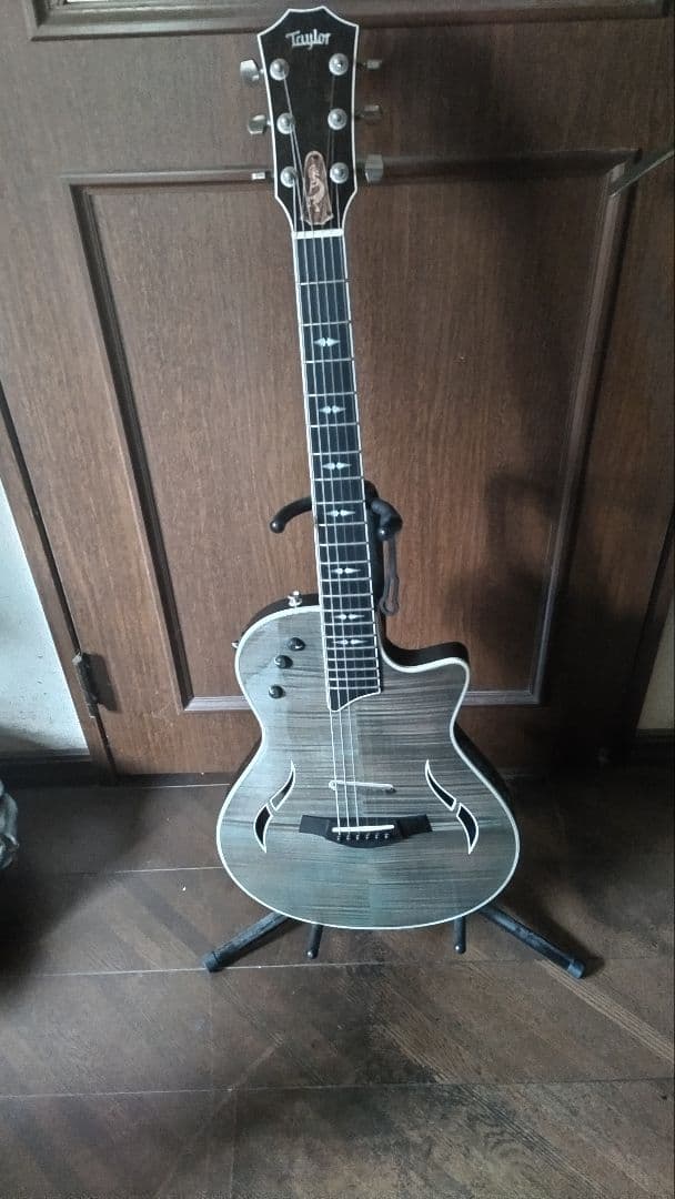 【MIYAVI世界デビュー時のT5改良品】Taylor T5z　ハードケース付