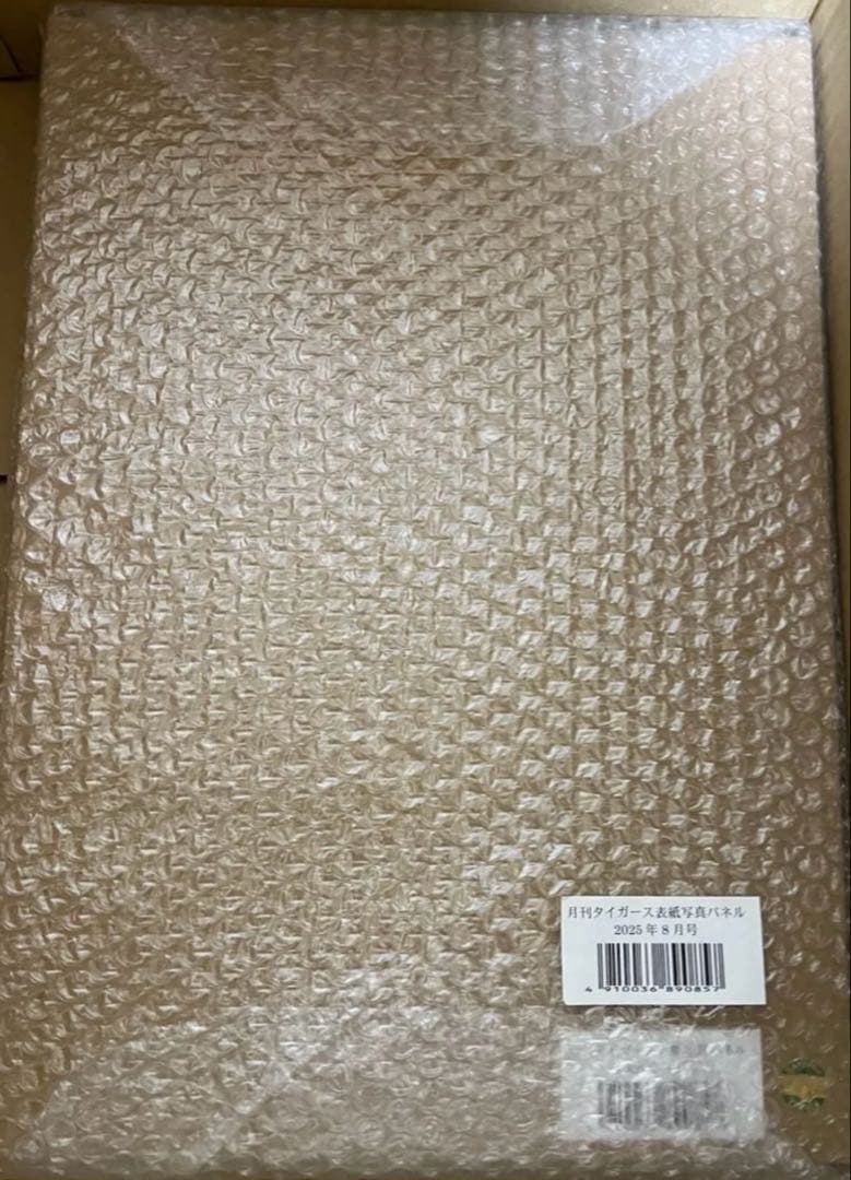 月刊タイガース表紙写真パネル 2025年8月号　阪神　才木浩人投手　才木選手