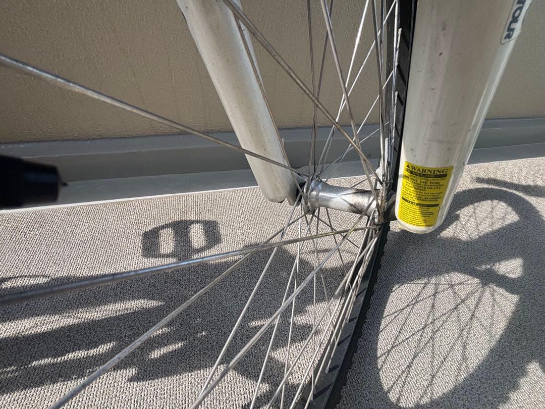 ルイガノ LOUIS GARNEAU LGS-J24 ジュニア自転車