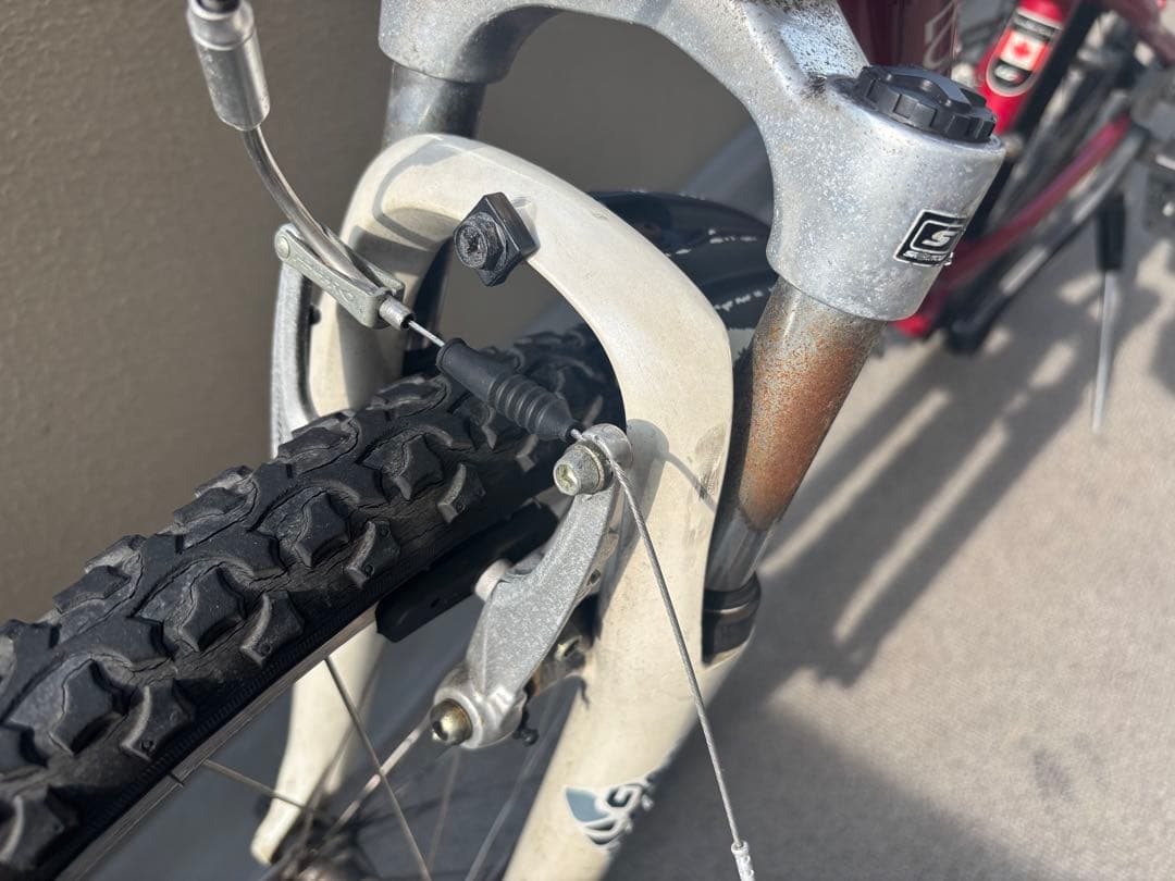 ルイガノ LOUIS GARNEAU LGS-J24 ジュニア自転車