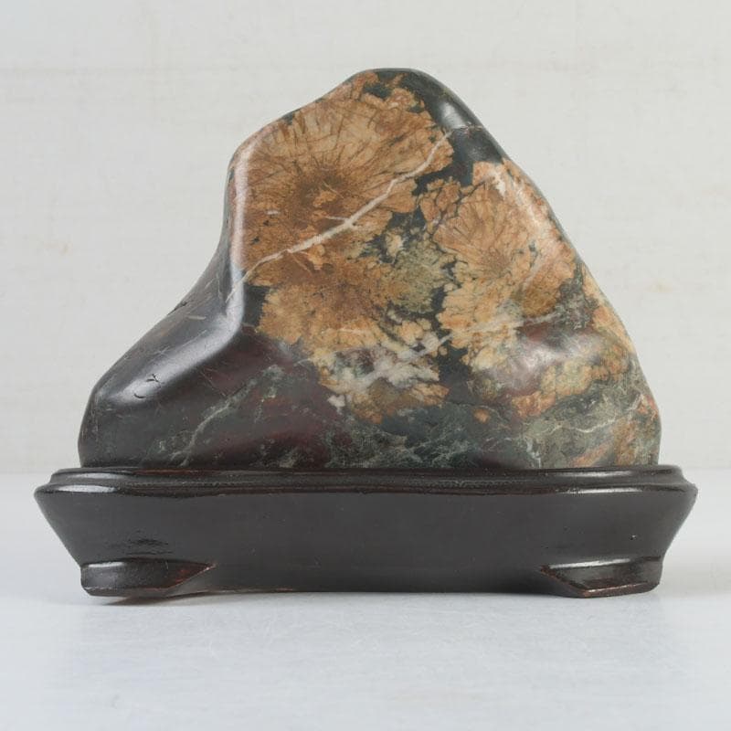 天然石　鑑賞石　菊花石　置物　重さ約792g　唐木台付　V　9424