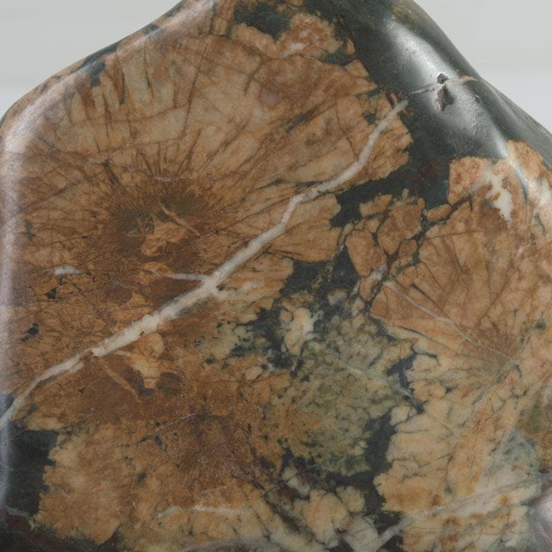 天然石　鑑賞石　菊花石　置物　重さ約792g　唐木台付　V　9424