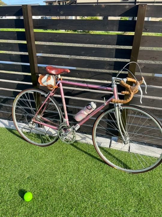 ツノダサターン