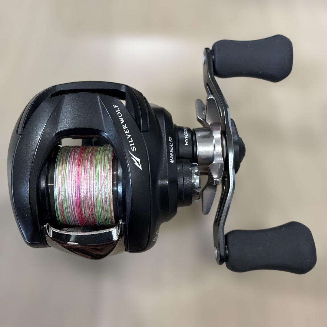 【AUA】シルバーウルフ SV TW 1000XH PE スペシャル(右)