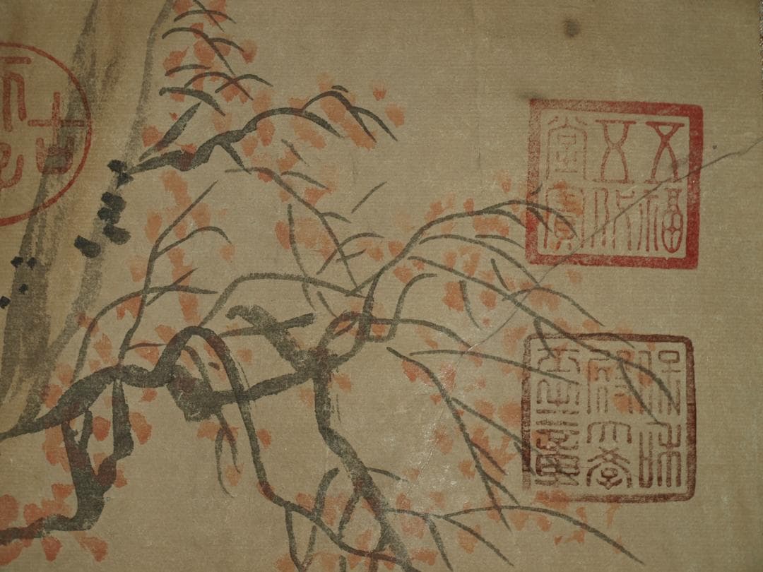 民間仕入れ品　中国時代の物図　肉筆絵　激安骨董BD216A13-3