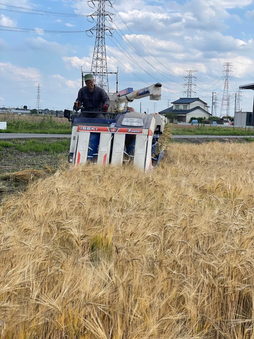 10kg 新麦　令和7年産　キラリモチ　もち麦　国産