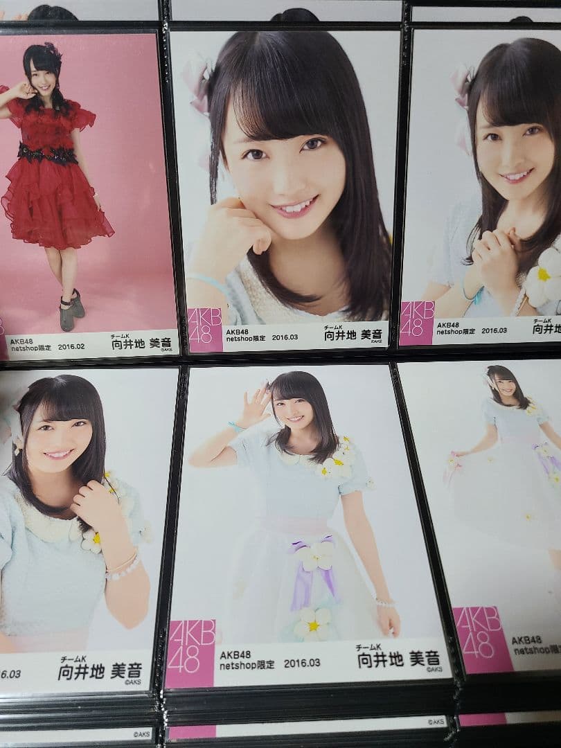 向井地美音 個別