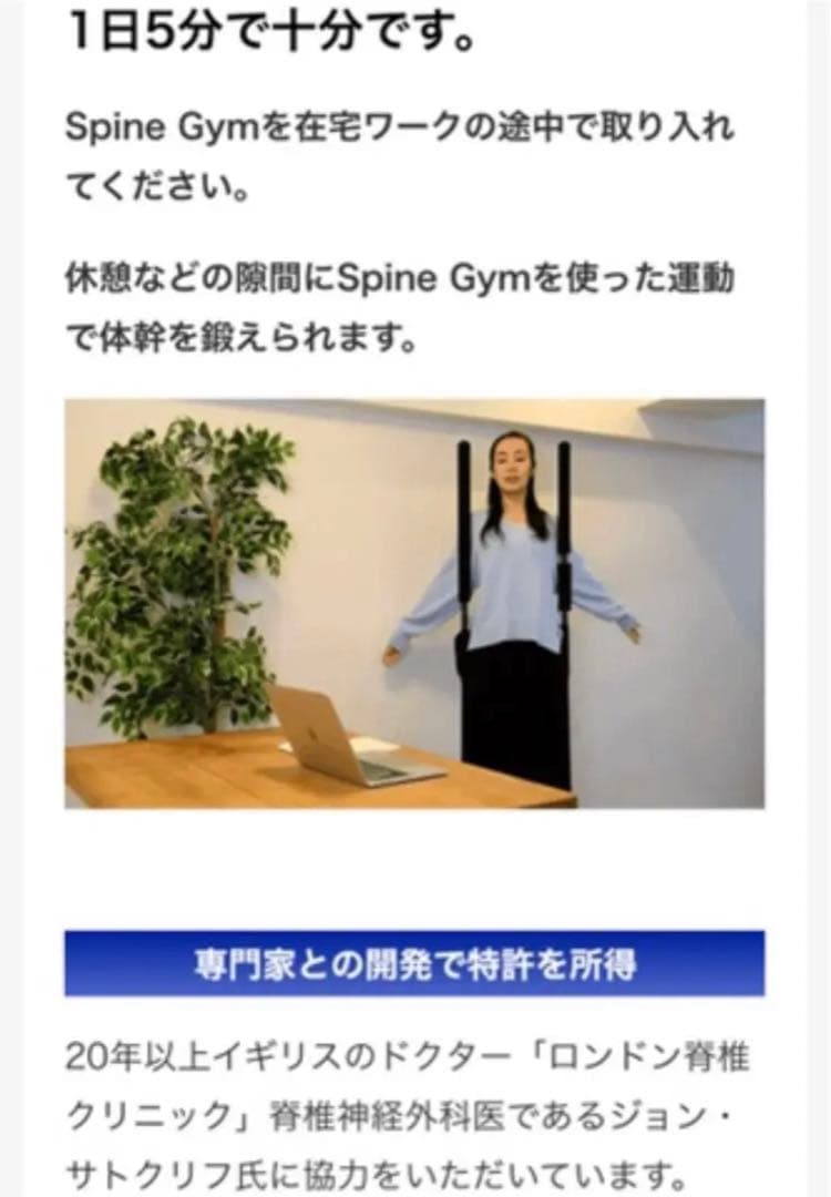 ⭐︎送料混み⭐︎spine gym スパインジム 体幹トレーニング makuake