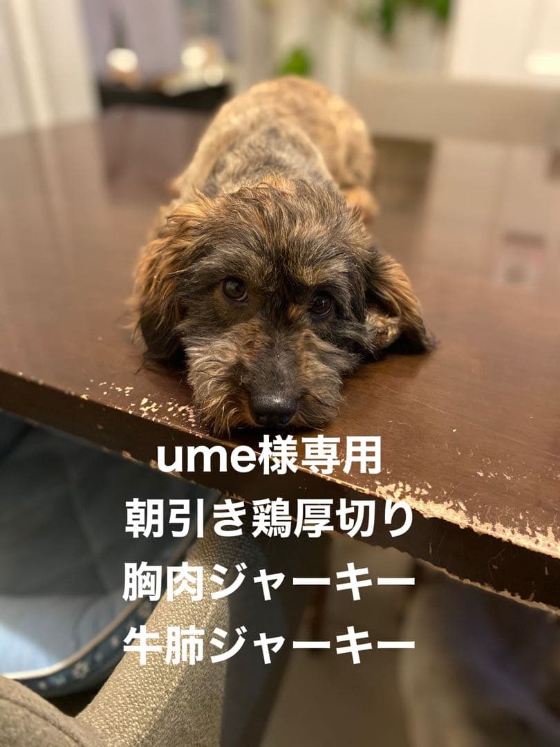 ume　朝引き鶏厚切り胸肉　牛肺