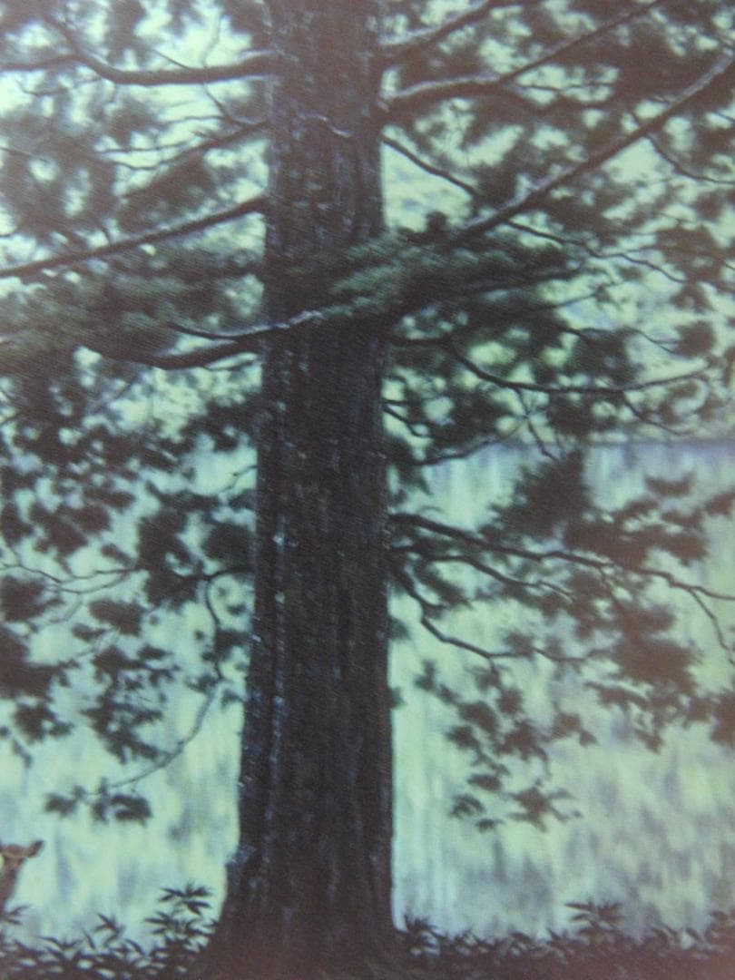 山地司、【鹿の住む森10】、希少な額装用画集より、新品額装付、状態良好