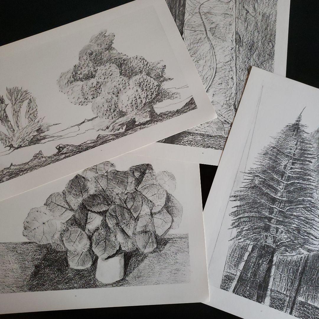 Max Ernst histoire naturelle　博物誌