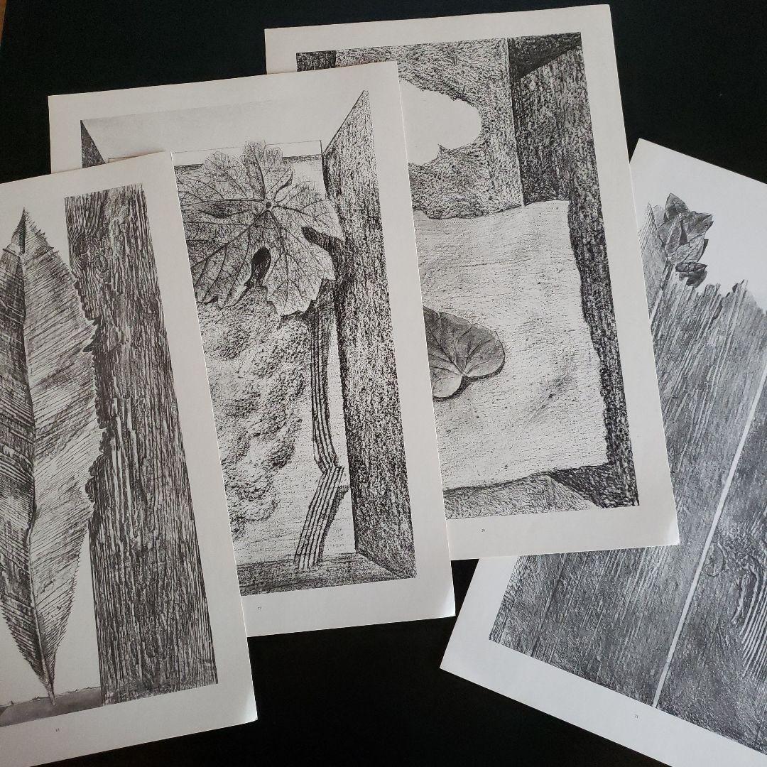 Max Ernst histoire naturelle　博物誌