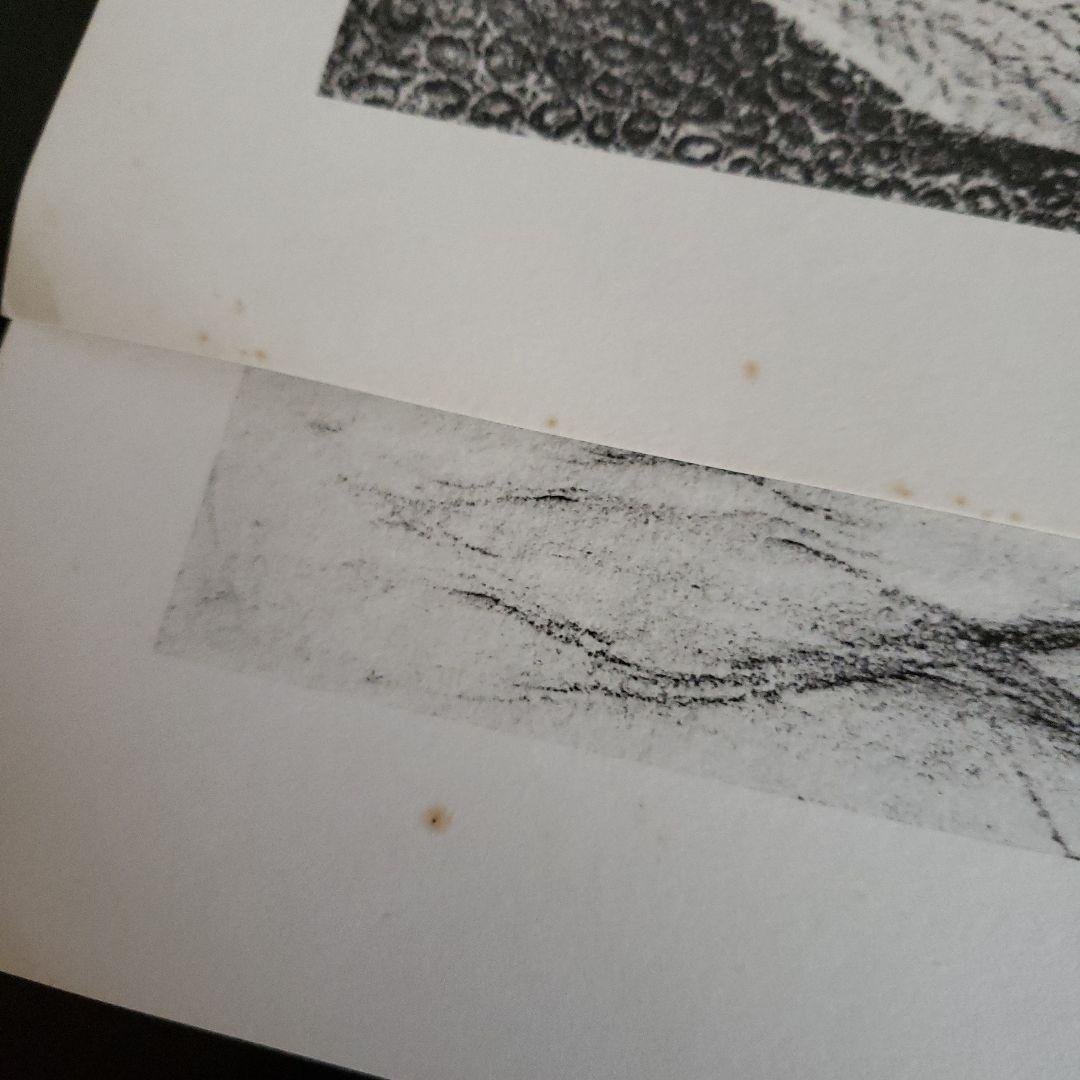 Max Ernst histoire naturelle　博物誌