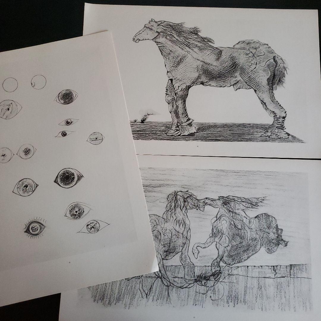 Max Ernst histoire naturelle　博物誌