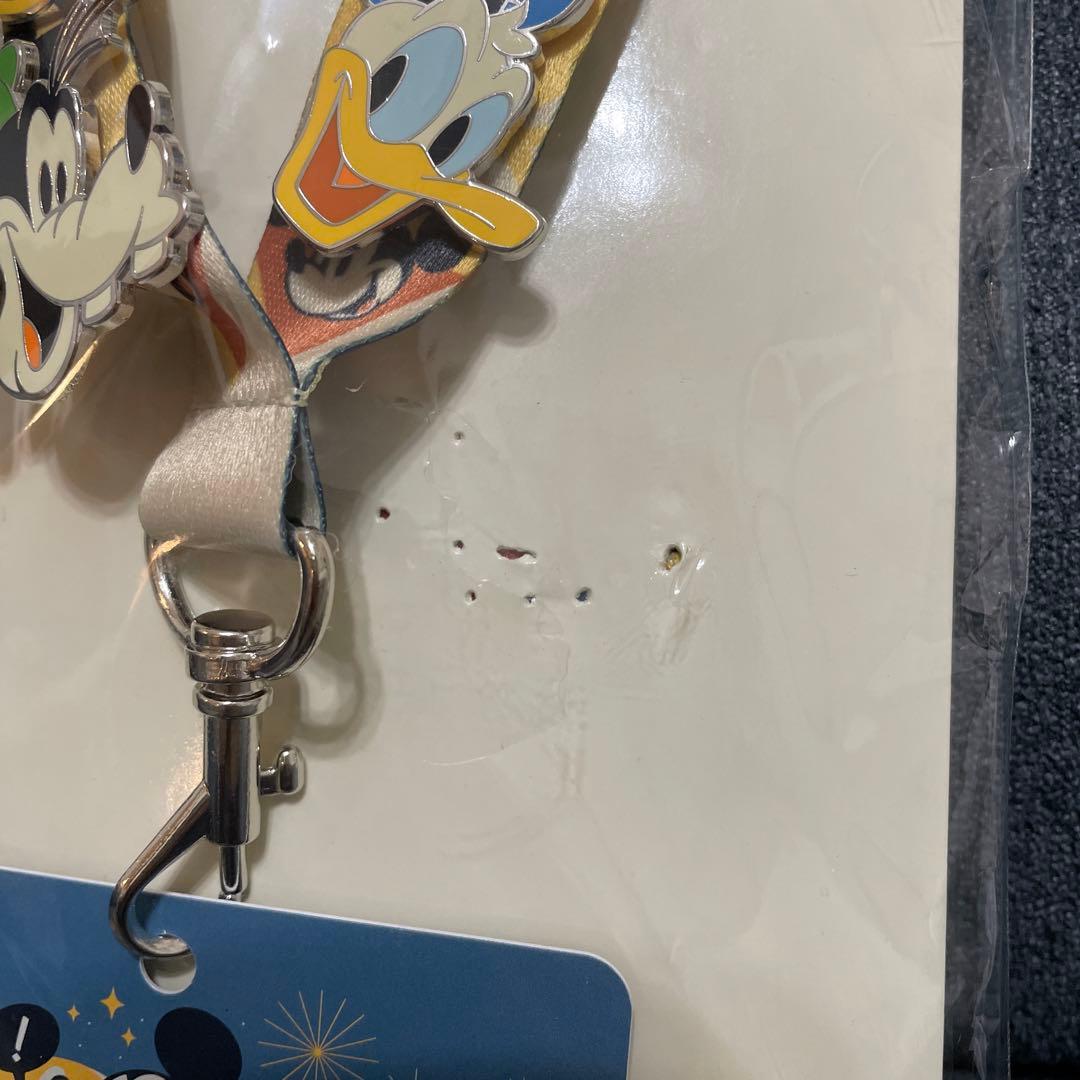 ピンバッジ　カード入れ　ストラップ　ディズニーランドパリ2023（12/17処分