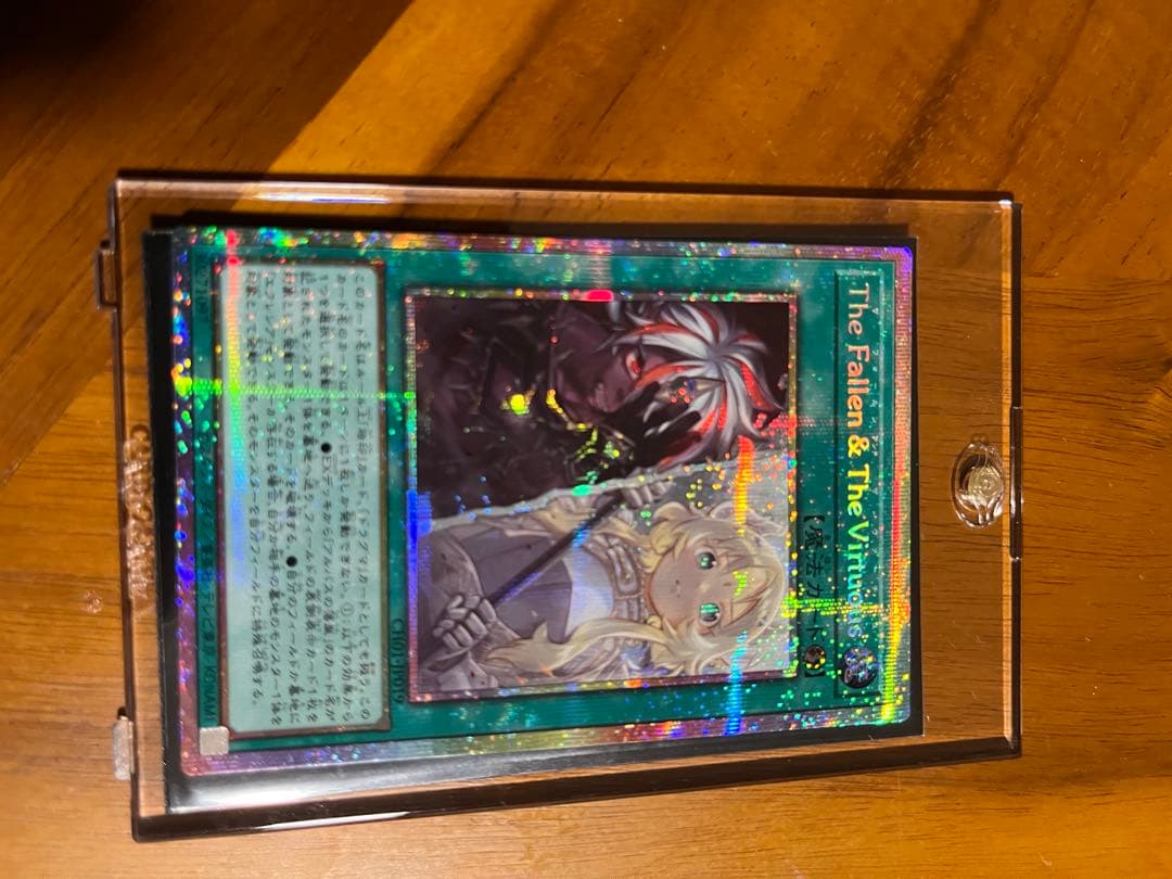 The Fallen &The Virtuous プリシク