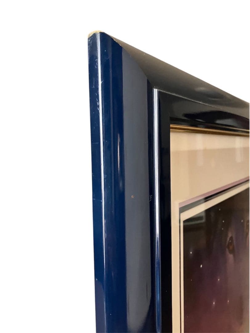 シム・シメール　『生命の謳』　214/300 サインあり　中古品