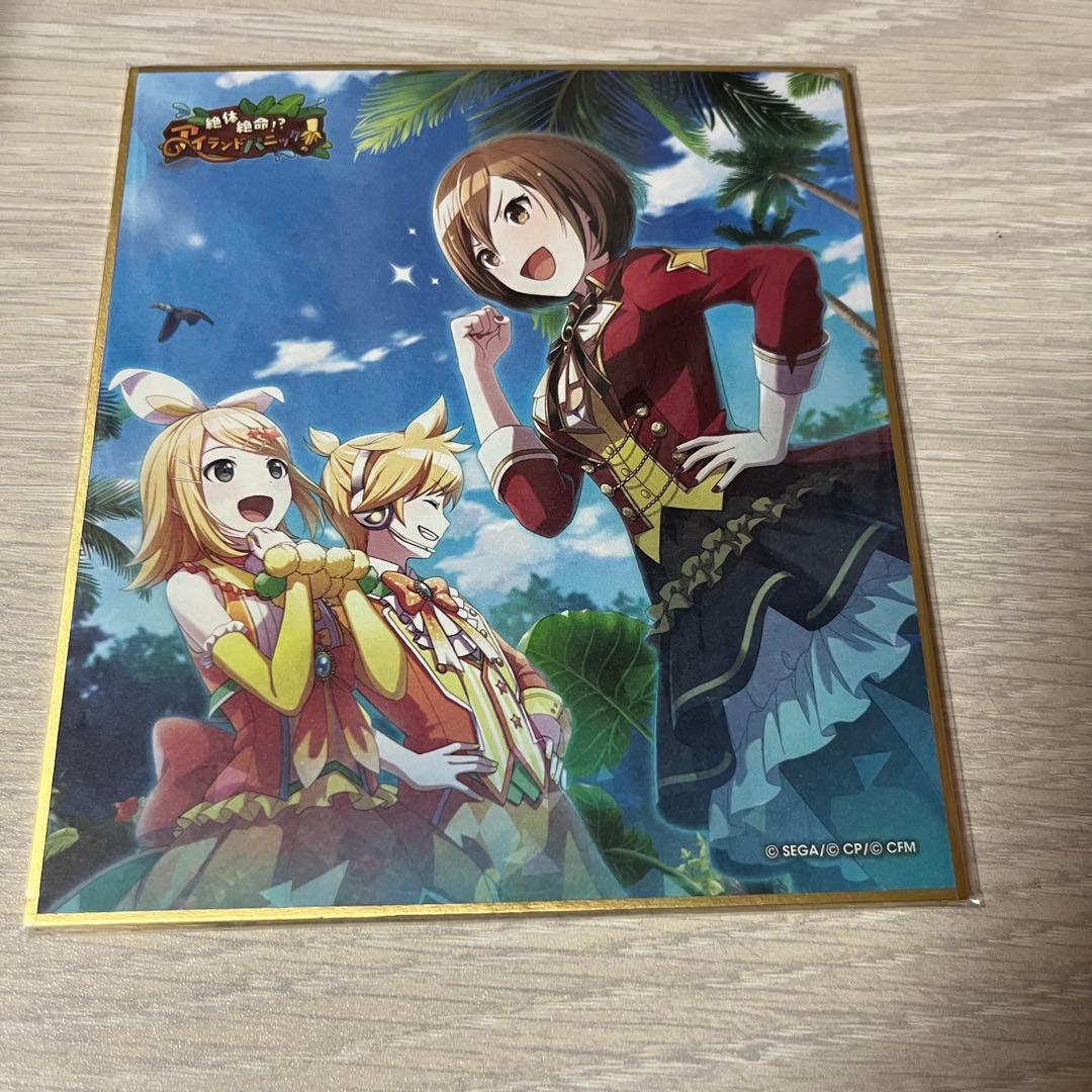 希少 レア プロセカ SEKAI ALBUM vol.2 特典 缶バッジ 白石杏