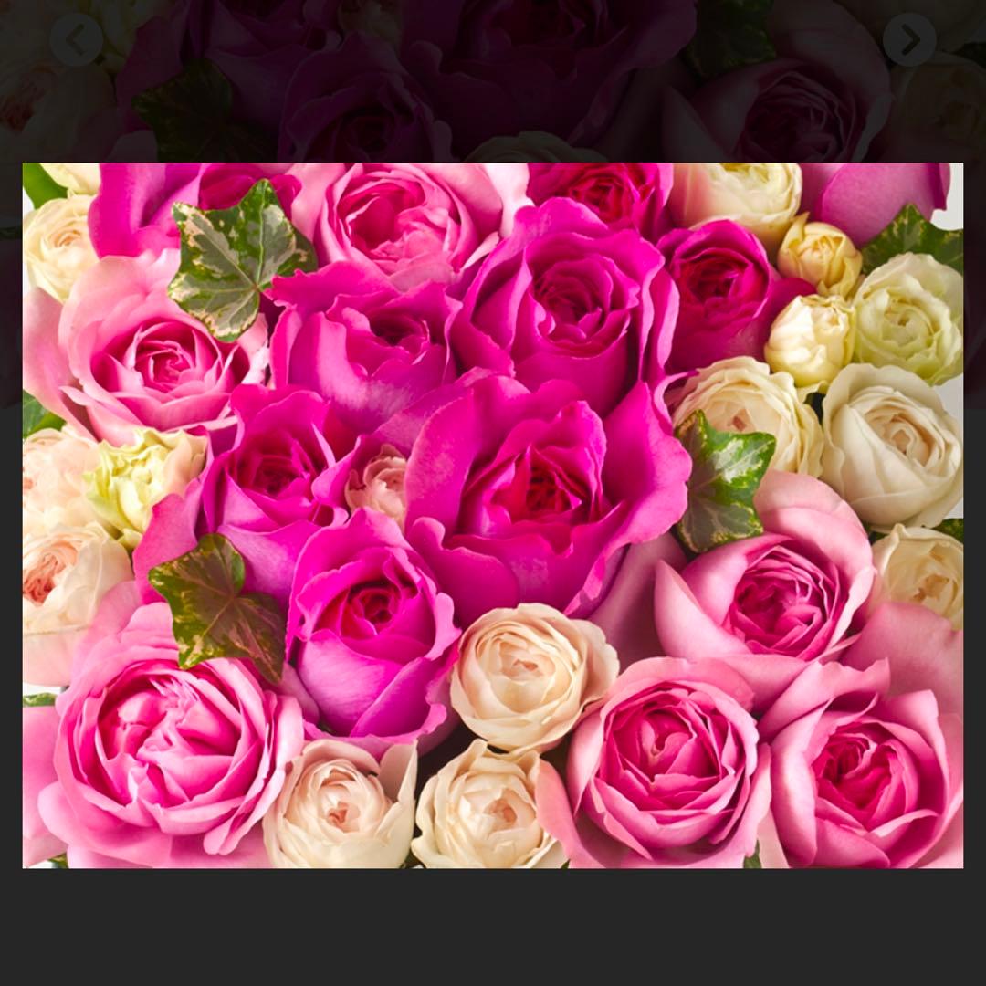 ミニオン@プロフ必読　5040 4kg、SPS 2kg 送料込み