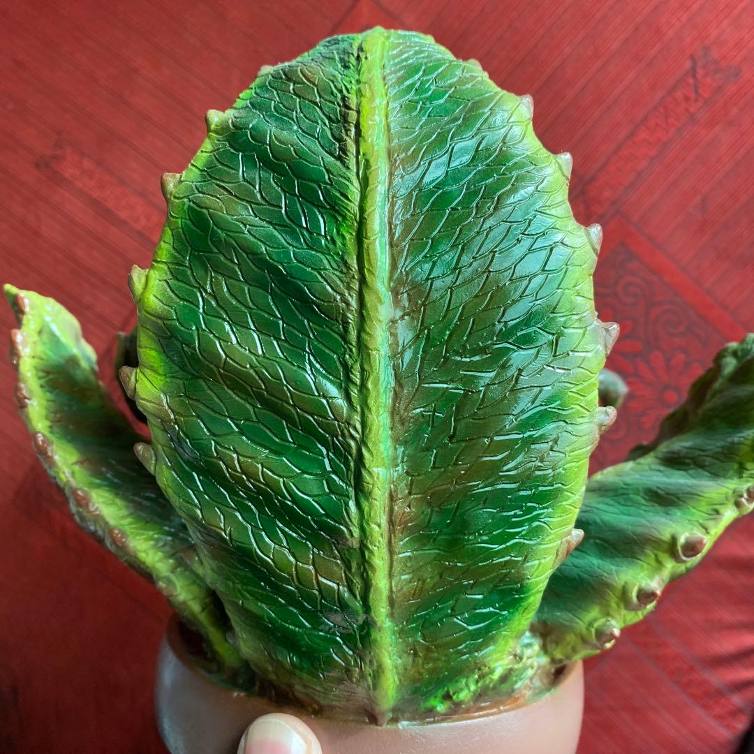 マーミット　オードリー