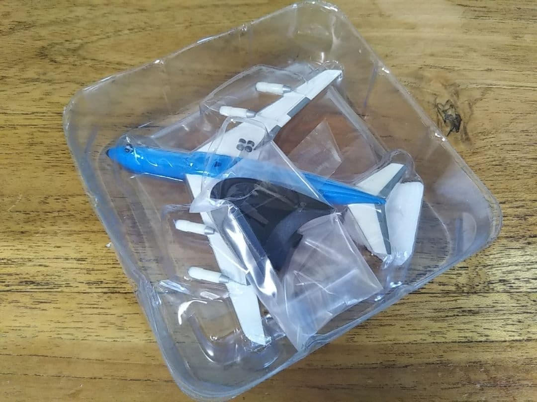 ブラニフ航空　ヘルパ アレキサンダー・ジラルド　エミリオ・プッチ　アリタリア