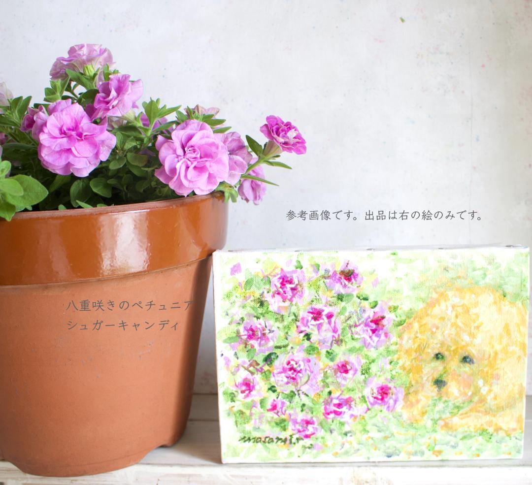 「ペチュニアとトイプードル」 アクリル画 SM キャンバス 原画 額なし