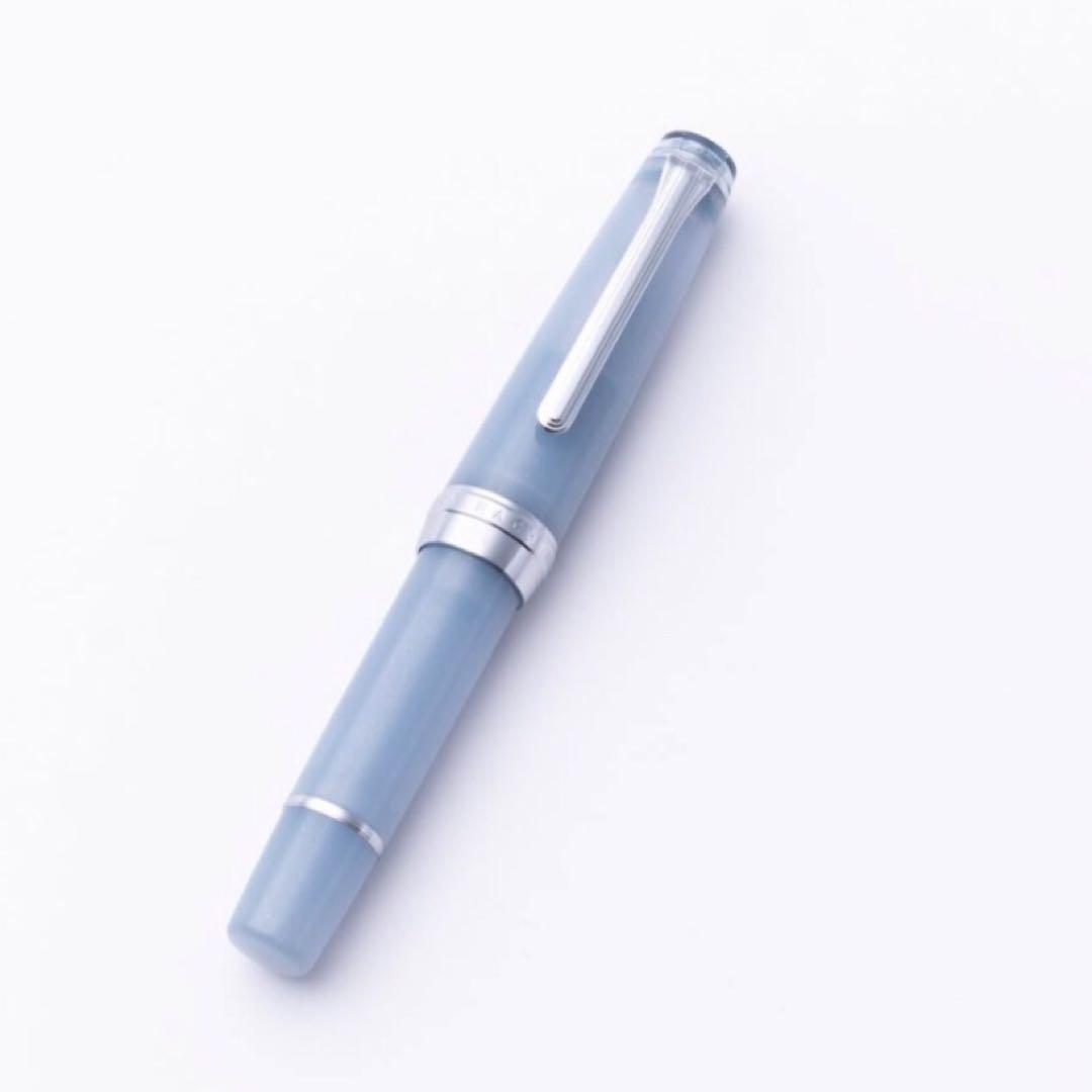 【24時間以内発送】銀山スノーグレー・万年筆 パルム　M