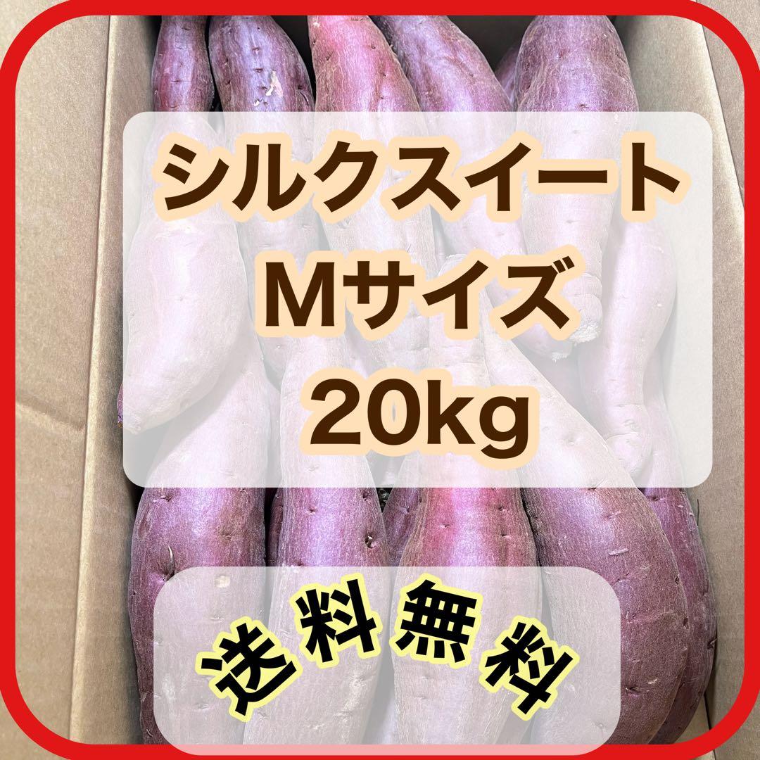 シルクスイート Mサイズ 20kg 茨城県産