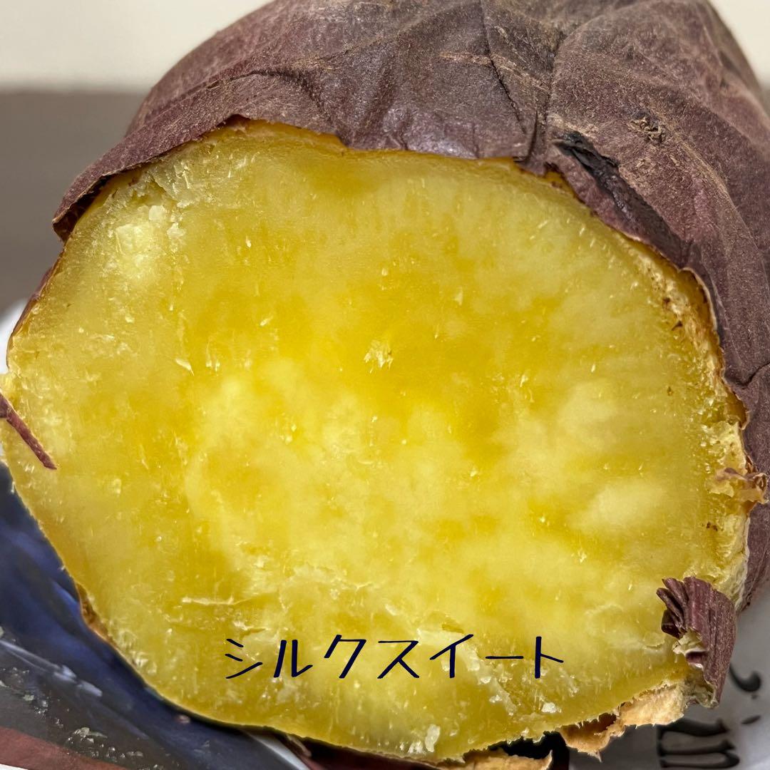 シルクスイート Mサイズ 20kg 茨城県産