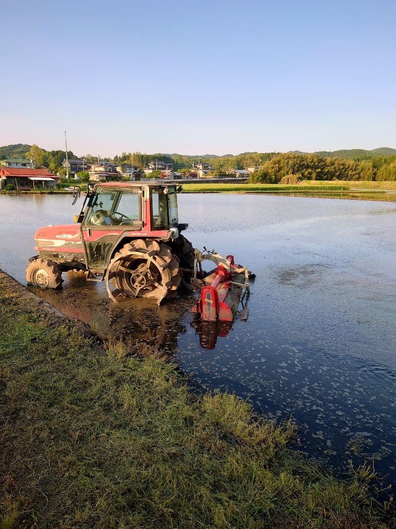 令和7年 新米 ! 精米無料 ! 栃木県大田原 黒羽産コシヒカリ 玄米10㎏