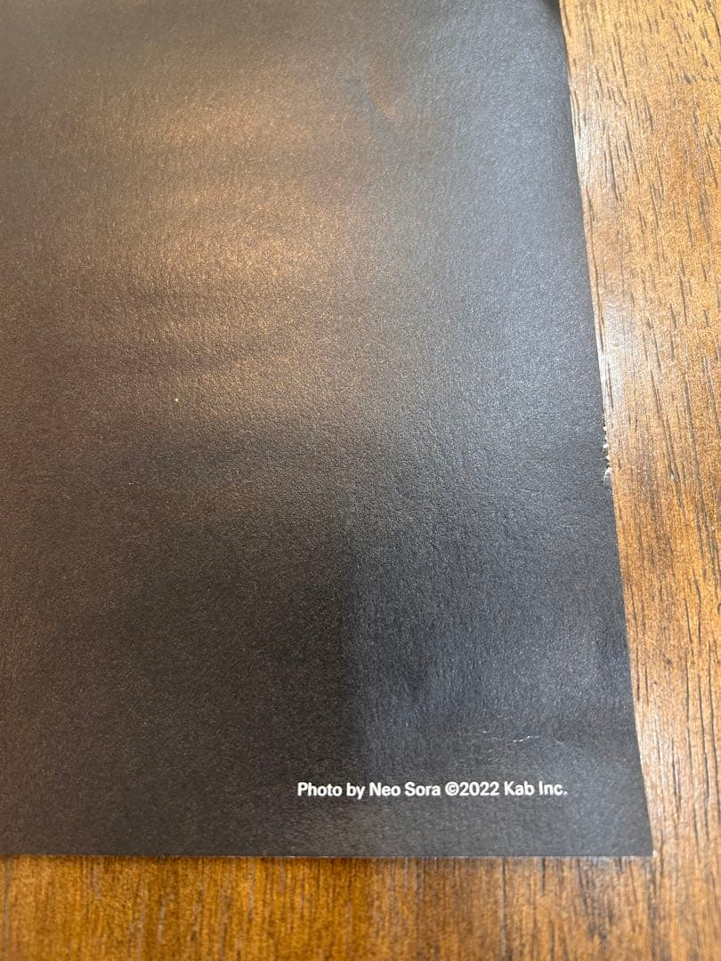 タ*タ様 B2サイズ ポスター　坂本龍一音を視る 時を聴く