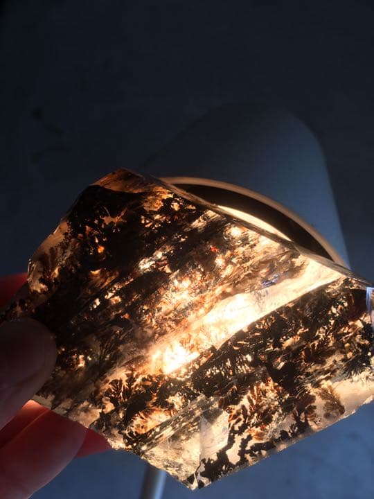 デンドライトクォーツ、デンドリティックガーデンクォーツ、737.2g 原石。希少