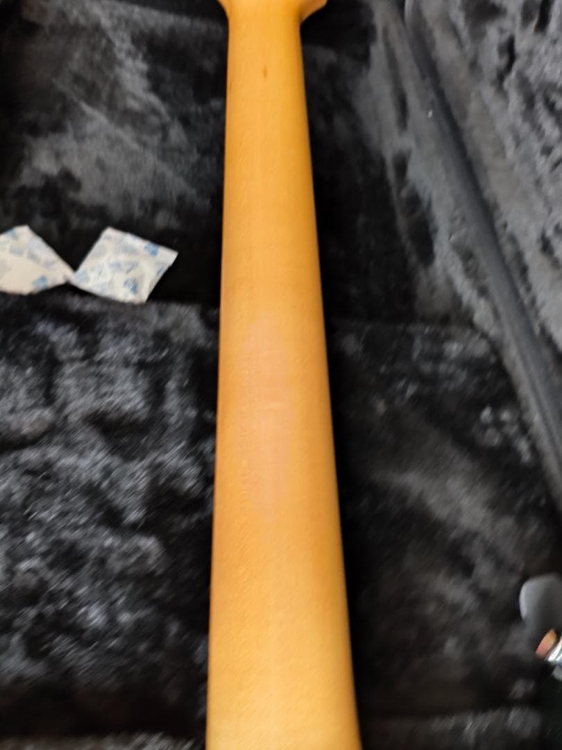 ギター James Tyler USA The Black Classic