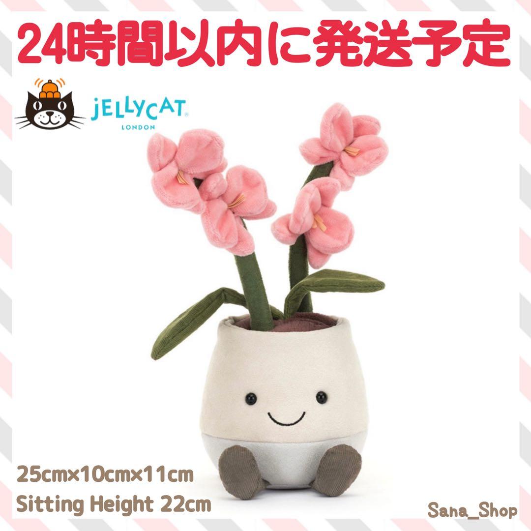 新品　ジェリーキャット　花　蘭　胡蝶蘭　ラン　観葉植物　ぬいぐるみ